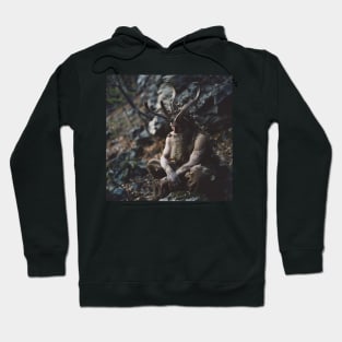 Belphegor Hoodie